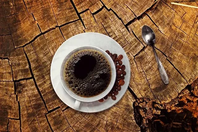 Guide d'achat : meilleures machines expresso écologiques