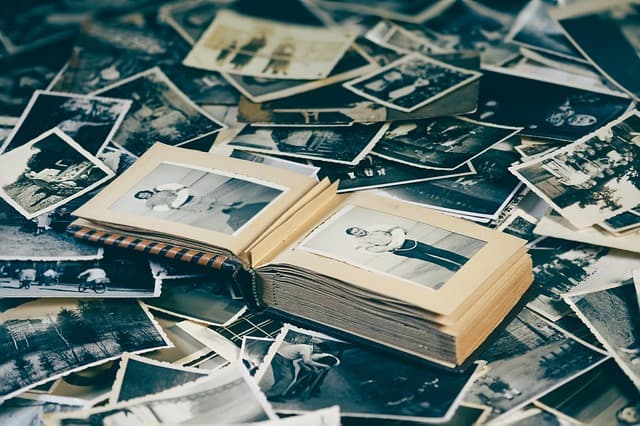 Toners pour photos : Guide d'achat complet